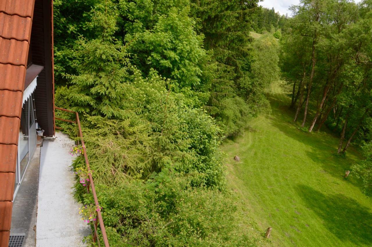Ferienhaus am Rachental Höhlenort Rübeland Exterior foto